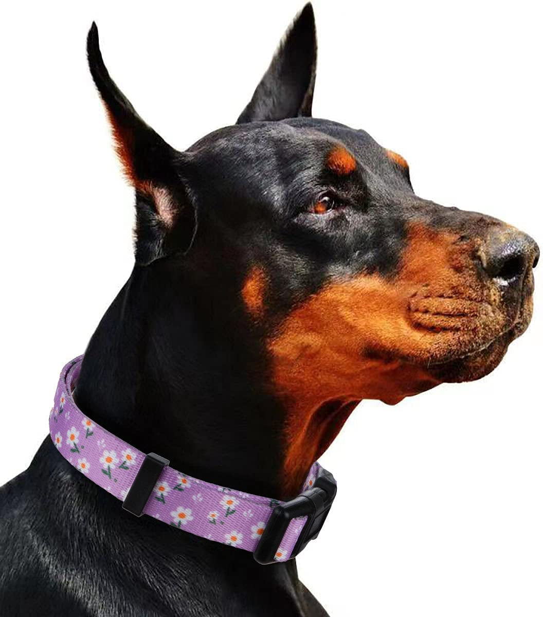 Floral Daisy Dog Collar for Small Dogs in Purple