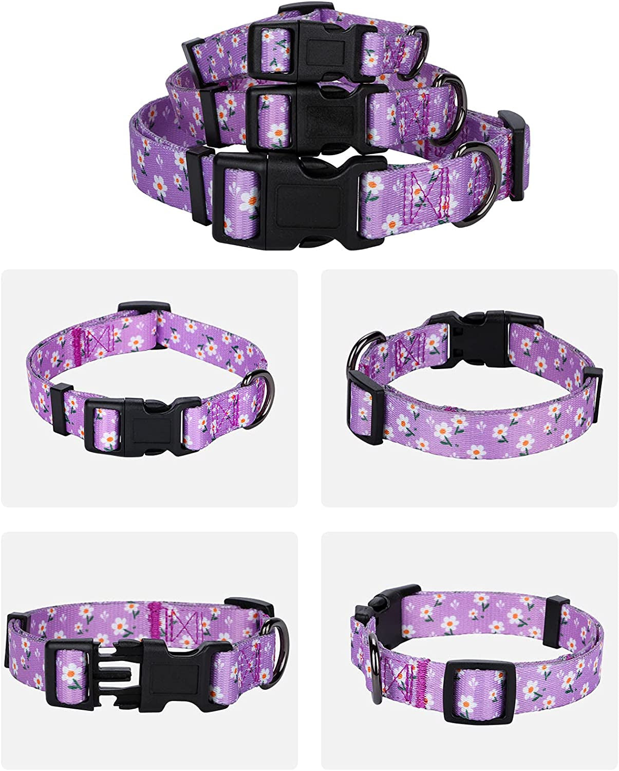 Floral Daisy Dog Collar for Small Dogs in Purple