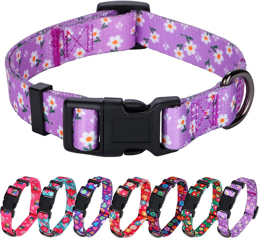 Floral Daisy Dog Collar for Small Dogs in Purple