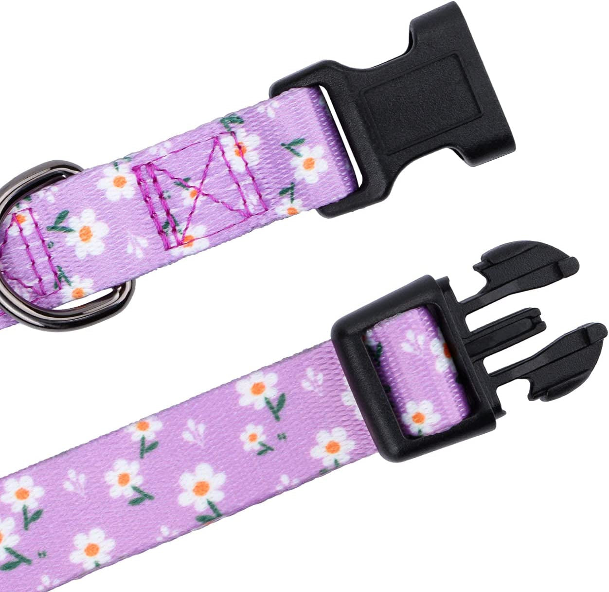 Floral Daisy Dog Collar for Small Dogs in Purple